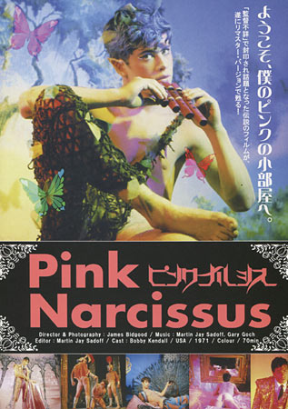 Pink Narcissus